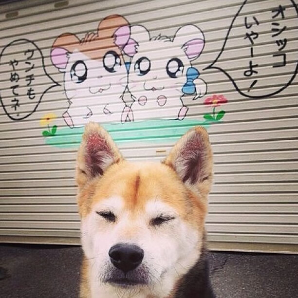 开云体育-国际乒联混合团体世界杯：加拿大队的稳定发挥与决胜时刻，加拿大乒乓球世界排名