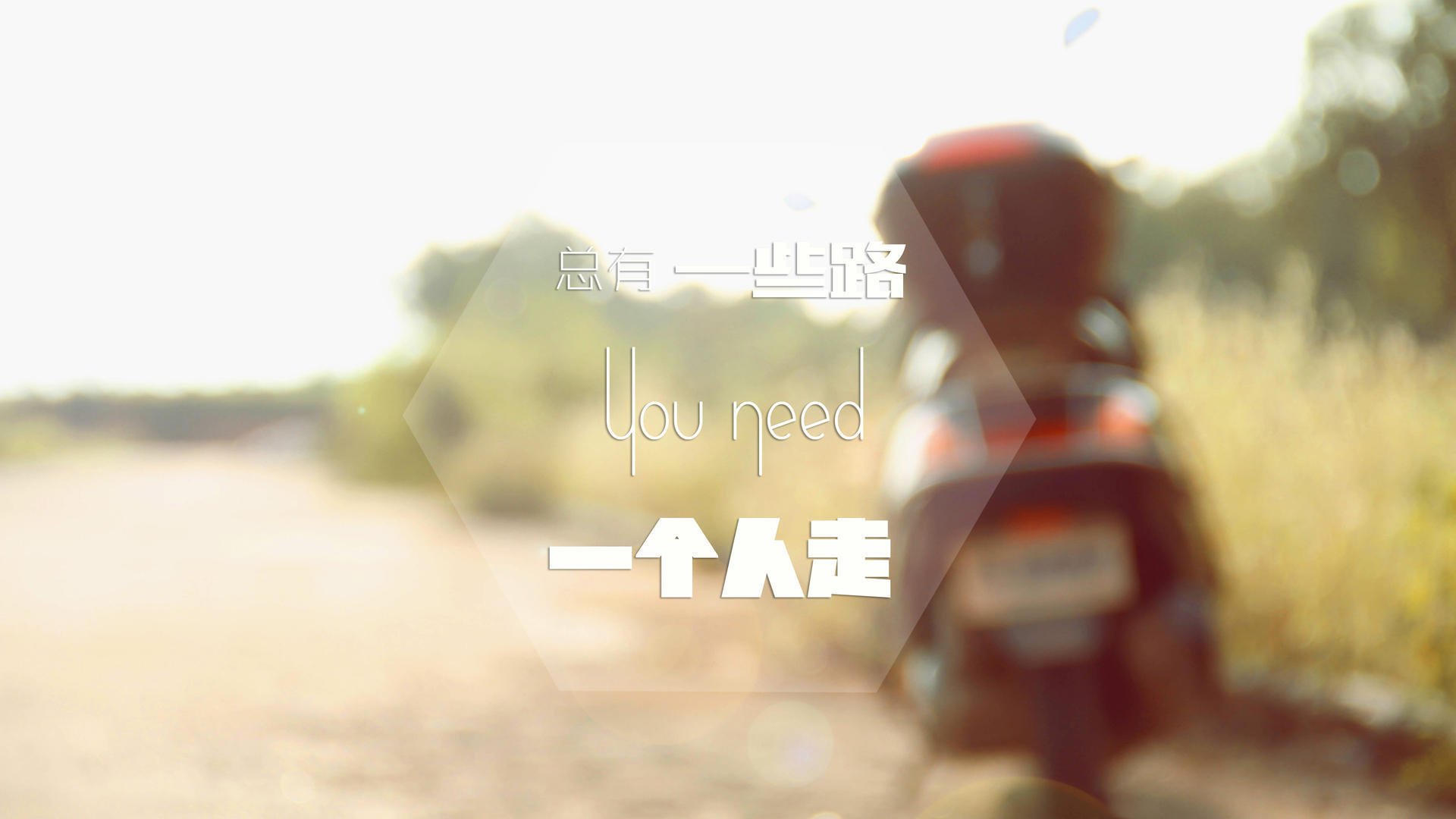 德甲黑马崛起：惊喜不断引发热议，德甲综述