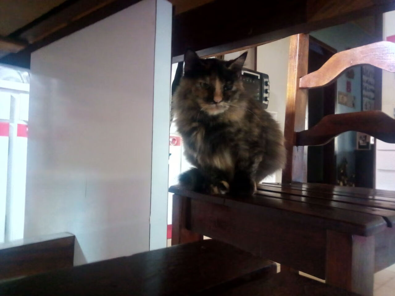 开云体育网址-爱尔兰男队青训持续发力，人才不断涌现，爱尔兰足球队队员